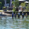 Aquathlon26_1
